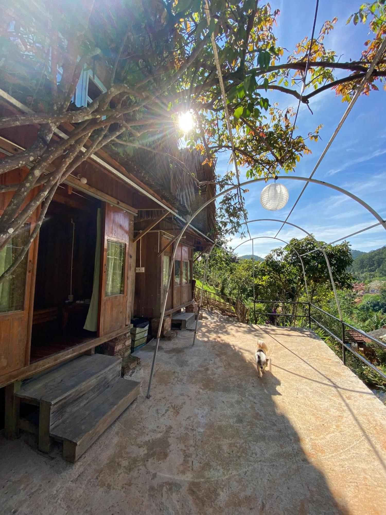 Vuon Nha Cui Homestay دالات المظهر الخارجي الصورة